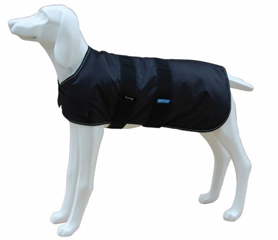 Picture of Freedog North Pole Raincoat